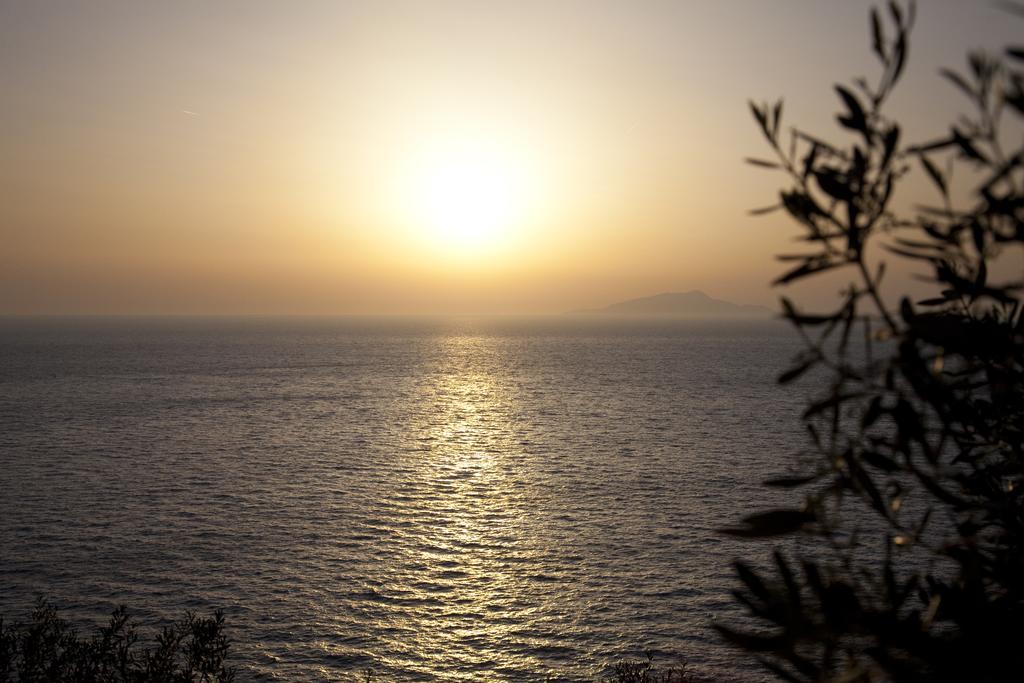 Villa Angelina Massa Lubrense Dış mekan fotoğraf