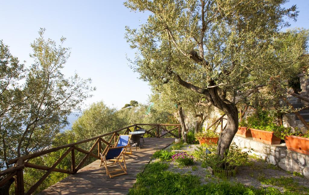 Villa Angelina Massa Lubrense Dış mekan fotoğraf