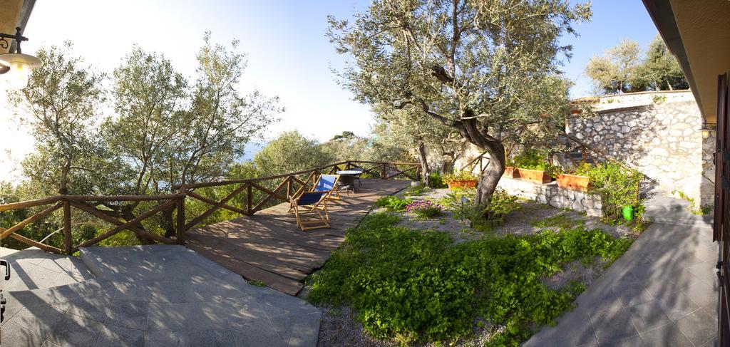 Villa Angelina Massa Lubrense Dış mekan fotoğraf